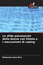 Mekonnen Jima Biru - Le sfide psicosociali delle donne con fistola e i meccanismi di coping