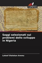 Lateef Olalekan Aremu - Saggi selezionati sui problemi dello sviluppo in Nigeria