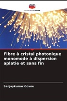 Sanjaykumar Gowre - Fibre à cristal photonique monomode à dispersion aplatie et sans fin