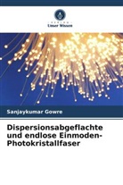 Sanjaykumar Gowre - Dispersionsabgeflachte und endlose Einmoden-Photokristallfaser