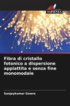 Sanjaykumar Gowre - Fibra di cristallo fotonico a dispersione appiattita e senza fine monomodale