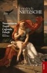Friedrich Nietzsche, Friedrich Wilhelm Nietzsche - Yunanlilarin Trajik Caginda Felsefe