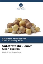 Alexandre Antunes Brum, Aline Neutzling Brum - Substratabbau durch Sonnenpilze