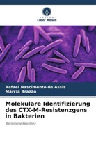 Márcia Brazão, Rafael Nascimento de Assis - Molekulare Identifizierung des CTX-M-Resistenzgens in Bakterien