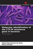 Márcia Brazão, Rafael Nascimento de Assis - Molecular identification of the CTX-M resistance gene in bacteria