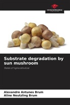 Alexandre Antunes Brum, Aline Neutzling Brum - Substrate degradation by sun mushroom