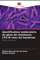 Márcia Brazão, Rafael Nascimento de Assis - Identification moléculaire du gène de résistance CTX-M chez les bactéries