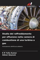 K R Yellu Kumar, Adnan Qayoum - Studio del raffreddamento per effusione nella camera di combustione di una turbina a gas