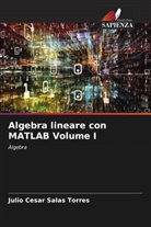 Julio Cesar Salas Torres - Algebra lineare con MATLAB Volume I