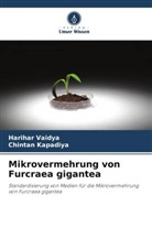 Chintan Kapadiya, Harihar Vaidya - Mikrovermehrung von Furcraea gigantea