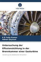 K R Yellu Kumar, Adnan Qayoum - Untersuchung der Effusionskühlung in der Brennkammer einer Gasturbine