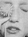 Juan Brenner, Antony Cairns, Cairns Antony, Madeline Cass, Jerald Cooper, Jeremy Everett... - OK, NO RESPONSE