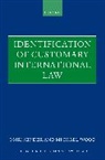 Sender, Wood, Omri Sender, Sender Omri, Michael Wood, Michael (Barrister Wood - Identification of Customary International Law