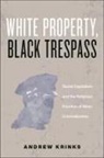 Andrew Krinks - White Property, Black Trespass