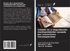 José Gustavo Da Silva Melo, Paulo R. Sarmento, Elisabeth C. Silva - Estudio de la degradación medioambiental causada por actuaciones socioespaciales