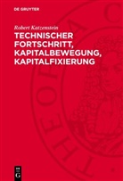 Robert Katzenstein - Technischer Fortschritt, Kapitalbewegung, Kapitalfixierung
