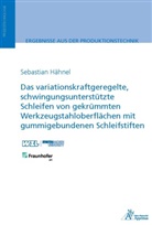 Sebastian Hähnel - Das variationskraftgeregelte, schwingungsunterstützte Schleifen von gekrümmten Werkzeugstahloberflächen mit gummigebundenen Schleifstiften