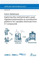 Katrin Wefelmeier - Exploring the methylotrophic yeast Ogataea polymorpha as a production platform for valuable chemicals from C1 compounds