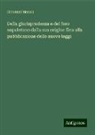 Giovanni Manna - Della giurisprudenza e del foro napoletano dalla sua origine fino alla pubblicazione delle nuove leggi