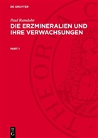 Paul Ramdohr - Die Erzmineralien und ihre Verwachsungen
