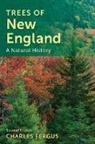 Charles Fergus, Fergus Charles, Amelia Hansen, Hansen Amelia - Trees of New England