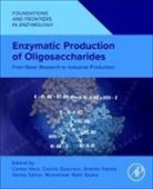 Cecilia Guerrero, Guerrero Cecilia, Andrés Illanes, Carlos Vera, Vera Carlos - Enzymatic Production of Oligosaccharides