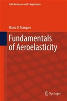 Flávio Marques, Flávio D Marques, Flávio D. Marques - Fundamentals of Aeroelasticity