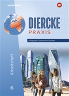 Jana Baldauf, Kerstin Bräuer, Sascha Kotztin, Sascha u a Kotztin, Annett Krüger, Frank Morgeneyer... - Diercke Praxis SI - Ausgabe für Gymnasien in Sachsen