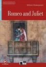 SHAKESPEARE NED 2024 - ROMEO AND JULIET