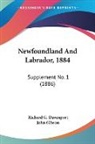 Richard G. Davenport, John Gibson - Newfoundland And Labrador, 1884
