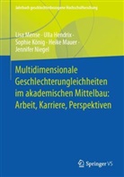 Ulla Hendrix, Sophie König, Sophie u a König, Heike Mauer, Lisa Mense, Jennifer Niegel - Multidimensionale Geschlechterungleichheiten im akademischen Mittelbau: Arbeit, Karriere, Perspektiven