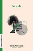 Edouard Lev, Edouard Leve, Edouard Levé - Suicide