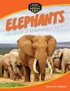 Stephanie Feldstein - Elephants