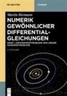 Martin Hermann - Martin Hermann: Numerik gewöhnlicher Differentialgleichungen - Band 1: Anfangswertprobleme und lineare Randwertprobleme
