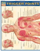 Vincent Perez - Trigger Points
