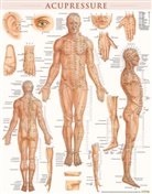 Vincent Perez - Acupressure Poster (22 x 28 inches) - Laminated