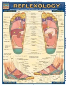 Vincent Perez - Reflexology
