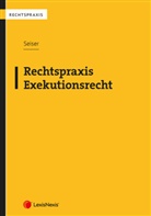 Hannes Seiser - Rechtspraxis Exekutionsrecht