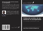 Jean Pierre Aristote Nziragutinya - Protección jurídica de los menores no acompañados