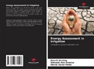 Jhosefe Bruning, Marcia Xavier Peiter, Adroaldo Dias Robaina - Energy Assessment in Irrigation