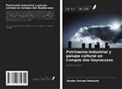 Zandor Gomes Mesquita - Patrimonio industrial y paisaje cultural en Campos dos Goytacazes