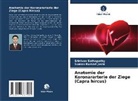 Suman Kumari Joshi, Srinivas Sathapathy - Anatomie der Koronararterie der Ziege (Capra hircus)