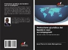 Jean Pierre Aristote Nziragutinya - Protezione giuridica dei bambini non accompagnati
