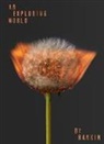Rankin - An Exploding World