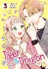 Mizuki Hoshino - Tiger and Dragon Vol. 3