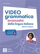 Pietro Gambino - Videogrammatica avanzata della lingua italiana