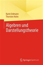 Karin Erdmann, Thorsten Holm - Algebren und Darstellungstheorie