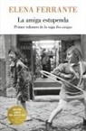 Elena Ferrante - La amiga estupenda
