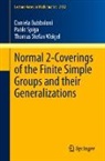 Daniela Bubboloni, Pablo Spiga, Thomas Stefan Weigel - Normal 2-Coverings of the Finite Simple Groups and their Generalizations