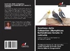 Thatijanne Santos G. de Carvalho, Carlos Eduardo Do Prado Saad, Márcio Gilberto Zangeronimo - Gestione delle Calopsitas (Nymphicus hollandicus) tenute in cattività